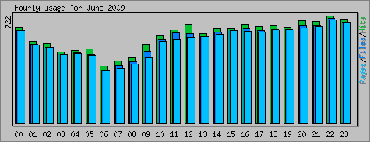 Hourly usage