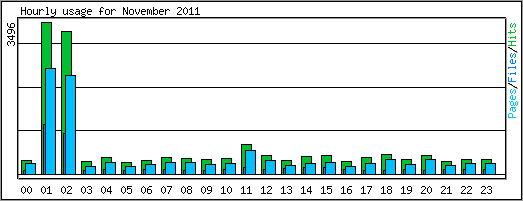 Hourly usage