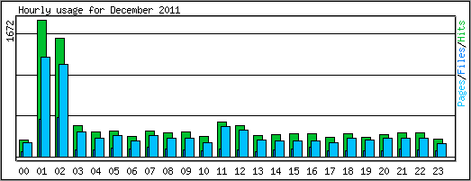 Hourly usage