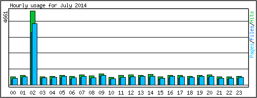 Hourly usage