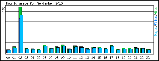 Hourly usage