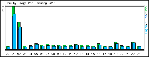 Hourly usage