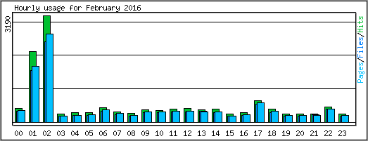 Hourly usage