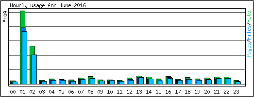 Hourly usage