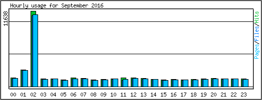 Hourly usage