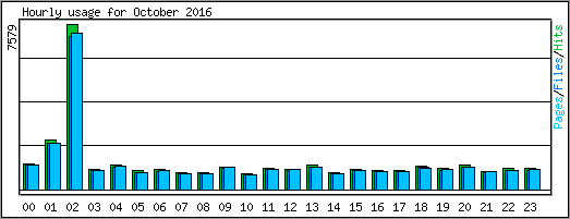 Hourly usage