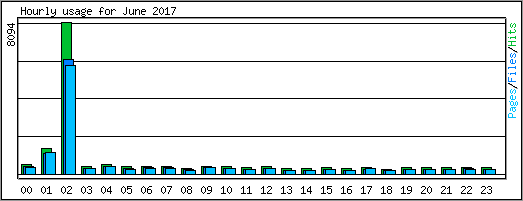 Hourly usage