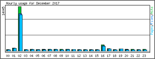 Hourly usage