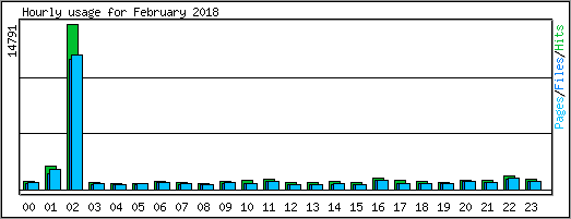 Hourly usage