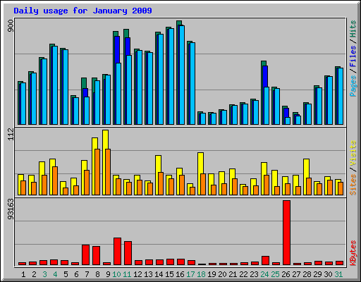 Daily usage for January 2009