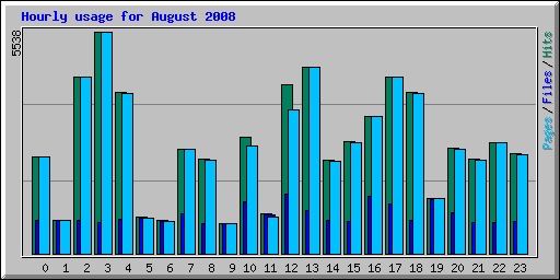 Hourly usage for August 2008