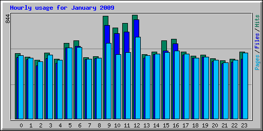 Hourly usage for January 2009