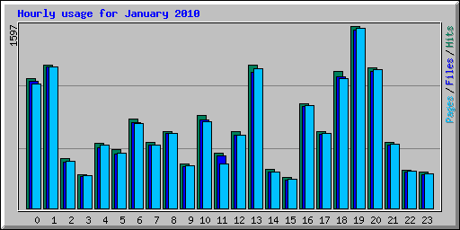 Hourly usage for January 2010