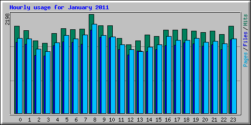 Hourly usage for January 2011