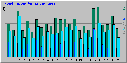 Hourly usage for January 2013