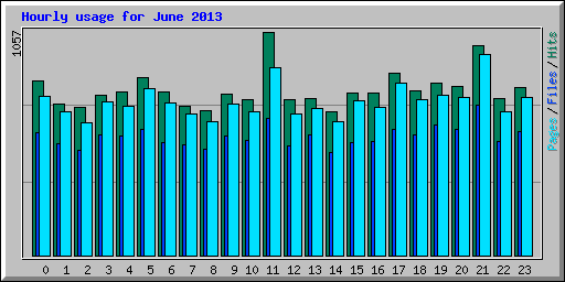 Hourly usage for June 2013