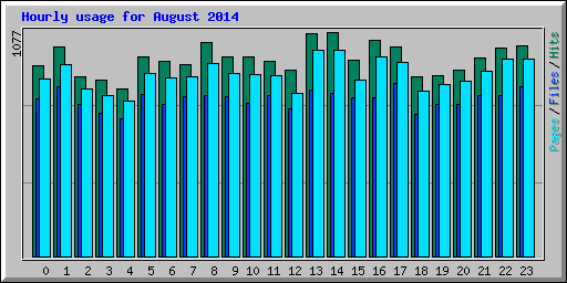 Hourly usage for August 2014