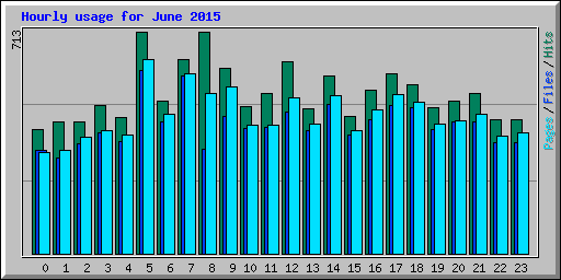 Hourly usage for June 2015