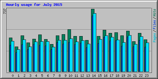 Hourly usage for July 2015