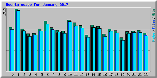 Hourly usage for January 2017